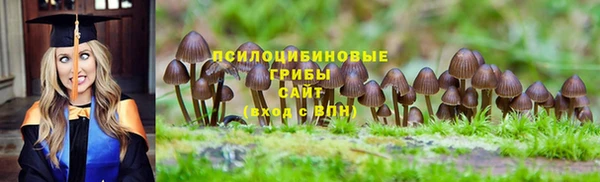 тгк Беломорск