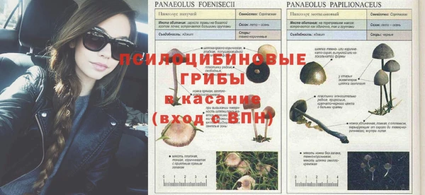 герыч Нея