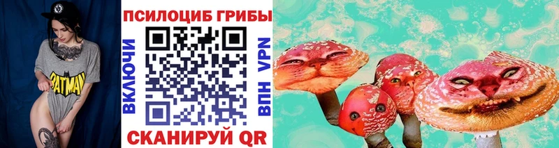 Купить где Брюховецкая Псилоцибиновые грибы Psilocybe