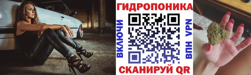 Купить  Брюховецкая  МАРИХУАНА семена 
